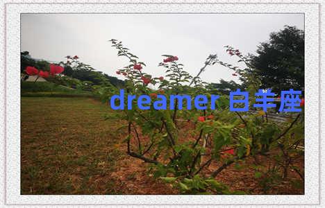 dreamer 白羊座